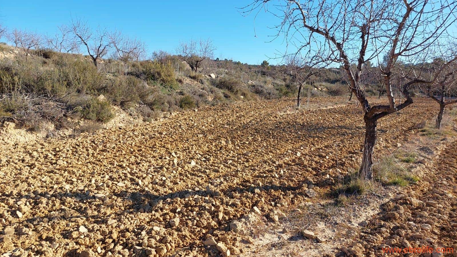 1 chambre Finca/Maison de Campagne à vendre à Mazaleon - 58 000 € (Ref: 7406466)