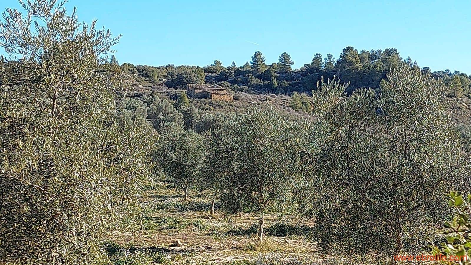 1 chambre Finca/Maison de Campagne à vendre à Mazaleon - 58 000 € (Ref: 7406466)