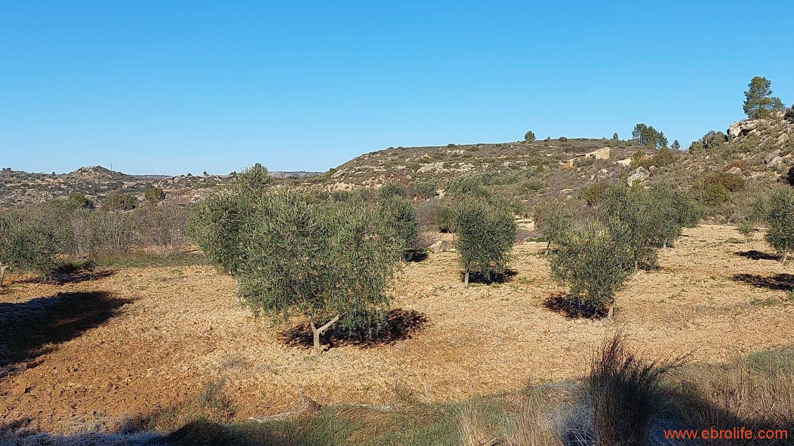 1 chambre Finca/Maison de Campagne à vendre à Mazaleon - 58 000 € (Ref: 7406466)