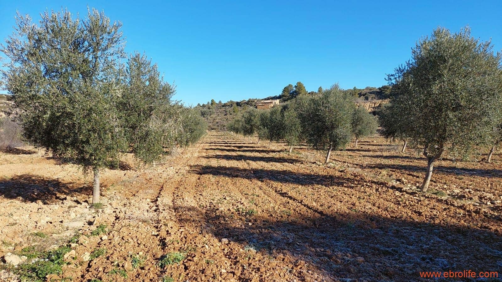 1 chambre Finca/Maison de Campagne à vendre à Mazaleon - 58 000 € (Ref: 7406466)