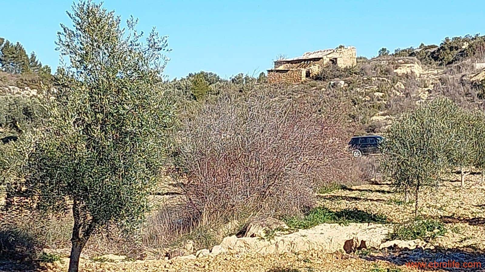 1 chambre Finca/Maison de Campagne à vendre à Mazaleon - 58 000 € (Ref: 7406466)