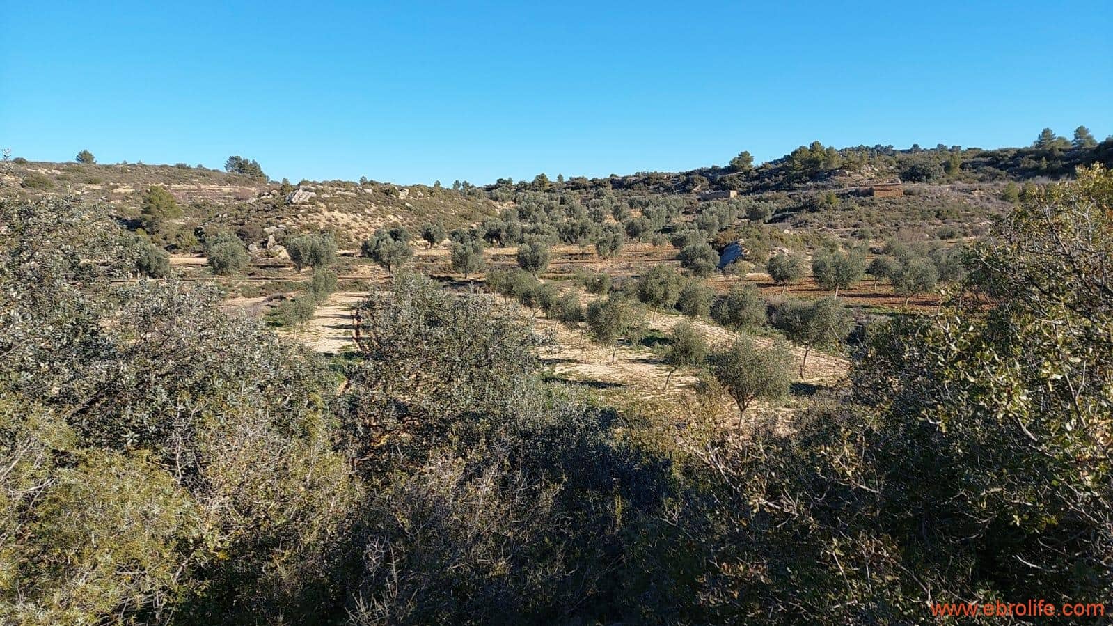 1 chambre Finca/Maison de Campagne à vendre à Mazaleon - 58 000 € (Ref: 7406466)