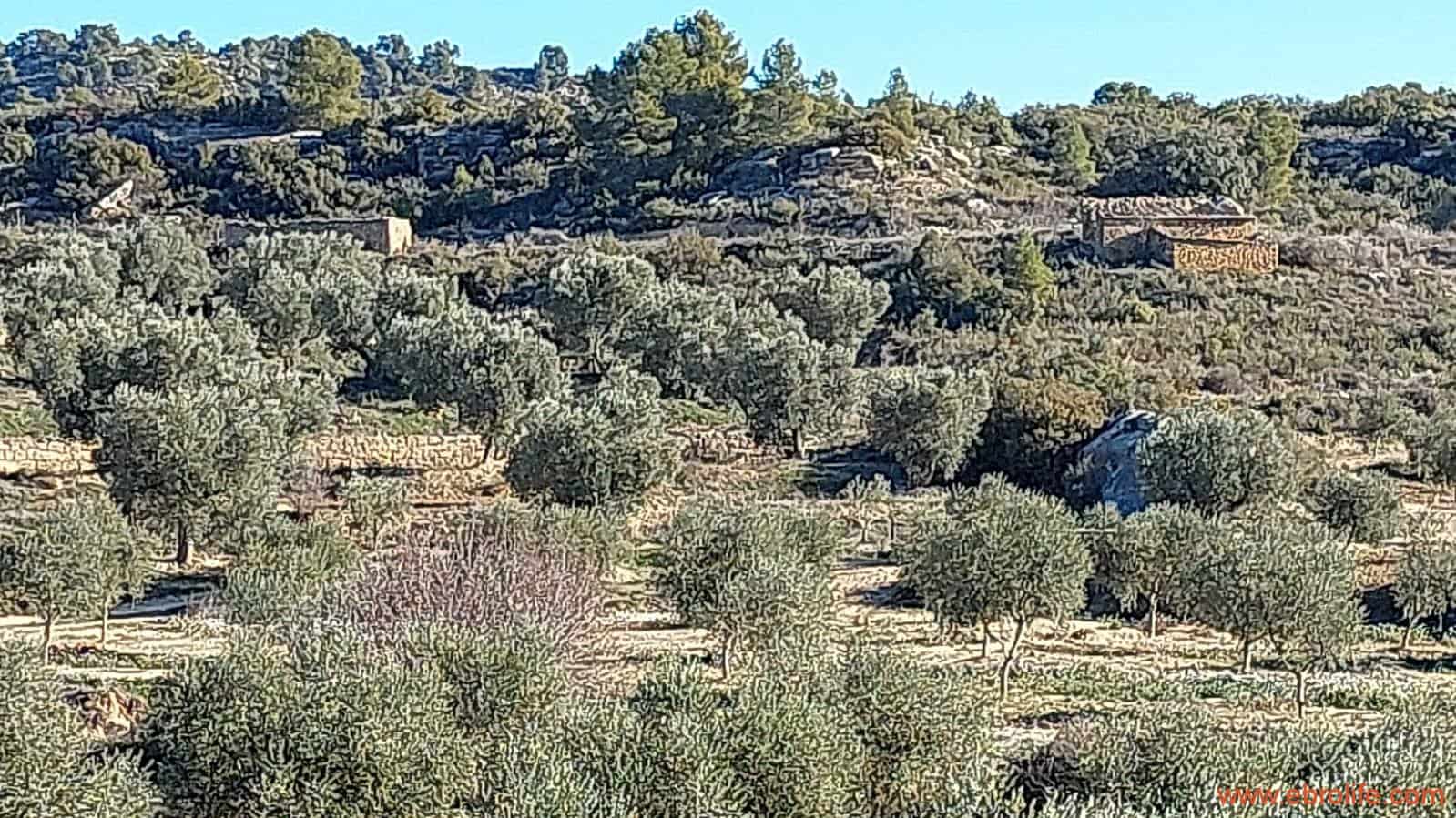 1 chambre Finca/Maison de Campagne à vendre à Mazaleon - 58 000 € (Ref: 7406466)