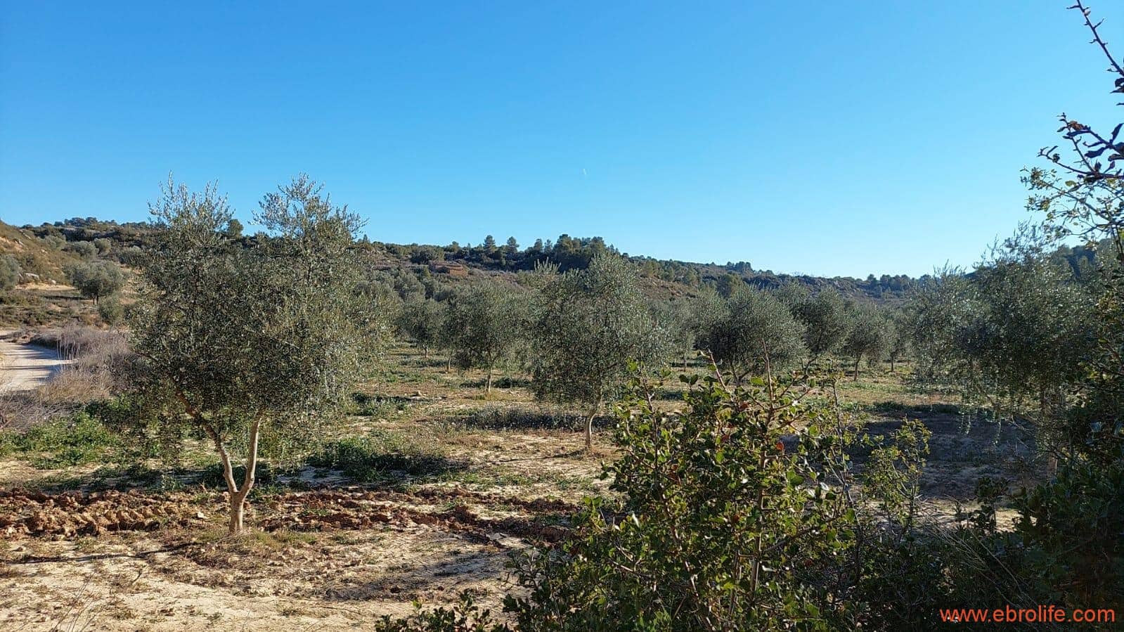 1 chambre Finca/Maison de Campagne à vendre à Mazaleon - 58 000 € (Ref: 7406466)