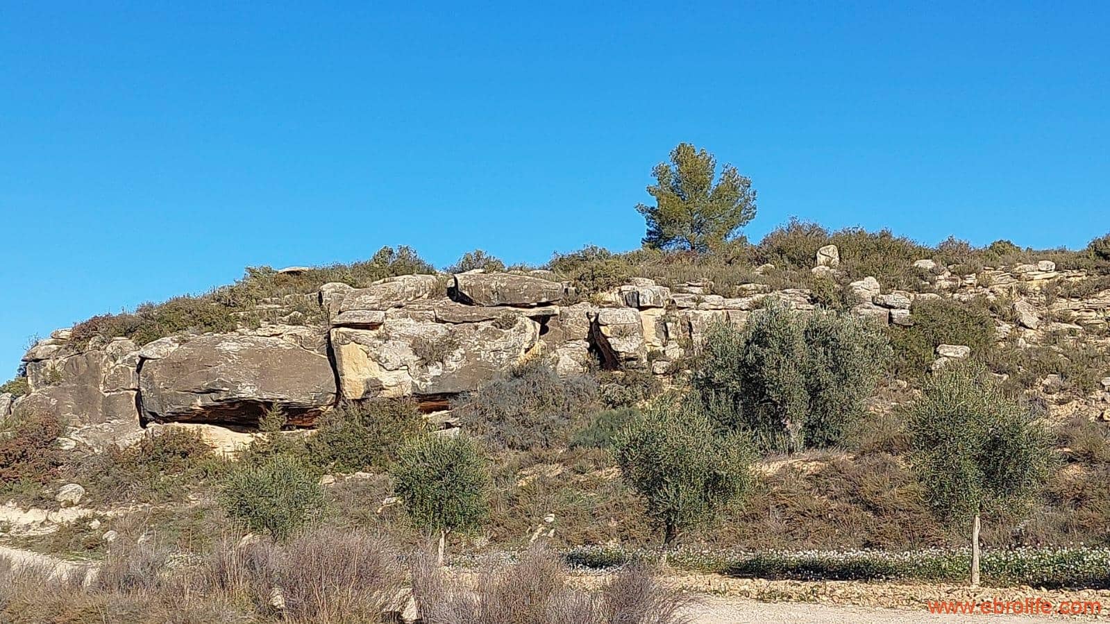 1 chambre Finca/Maison de Campagne à vendre à Mazaleon - 58 000 € (Ref: 7406466)