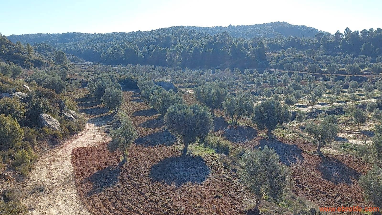 1 chambre Finca/Maison de Campagne à vendre à Mazaleon - 58 000 € (Ref: 7406466)