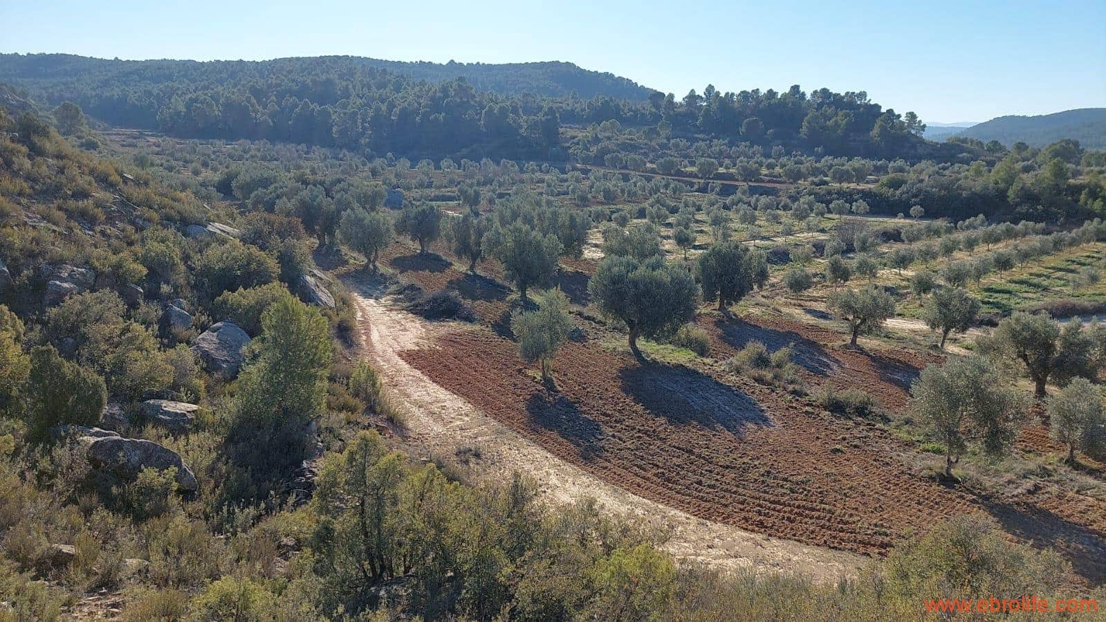 1 chambre Finca/Maison de Campagne à vendre à Mazaleon - 58 000 € (Ref: 7406466)