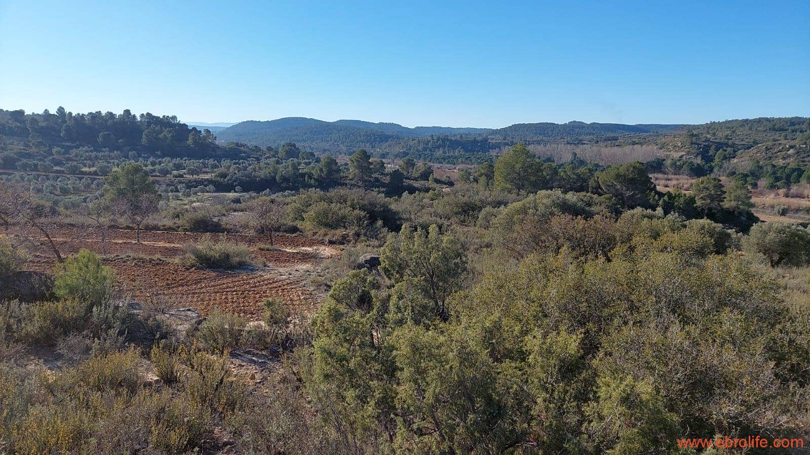 1 chambre Finca/Maison de Campagne à vendre à Mazaleon - 58 000 € (Ref: 7406466)