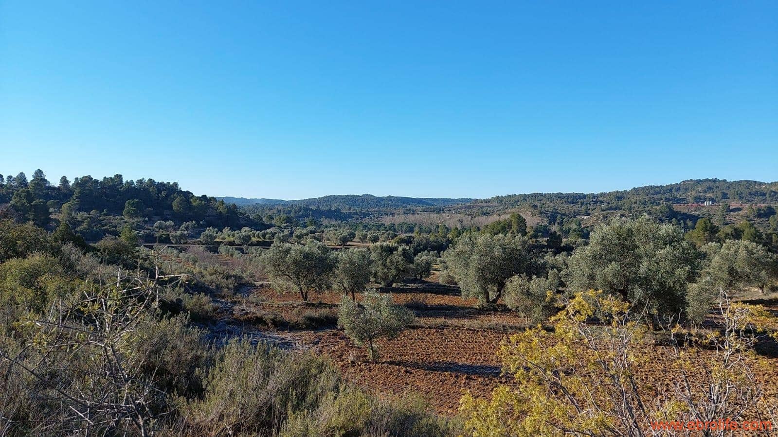 1 chambre Finca/Maison de Campagne à vendre à Mazaleon - 58 000 € (Ref: 7406466)