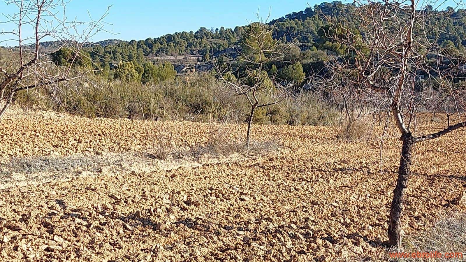 1 chambre Finca/Maison de Campagne à vendre à Mazaleon - 58 000 € (Ref: 7406466)