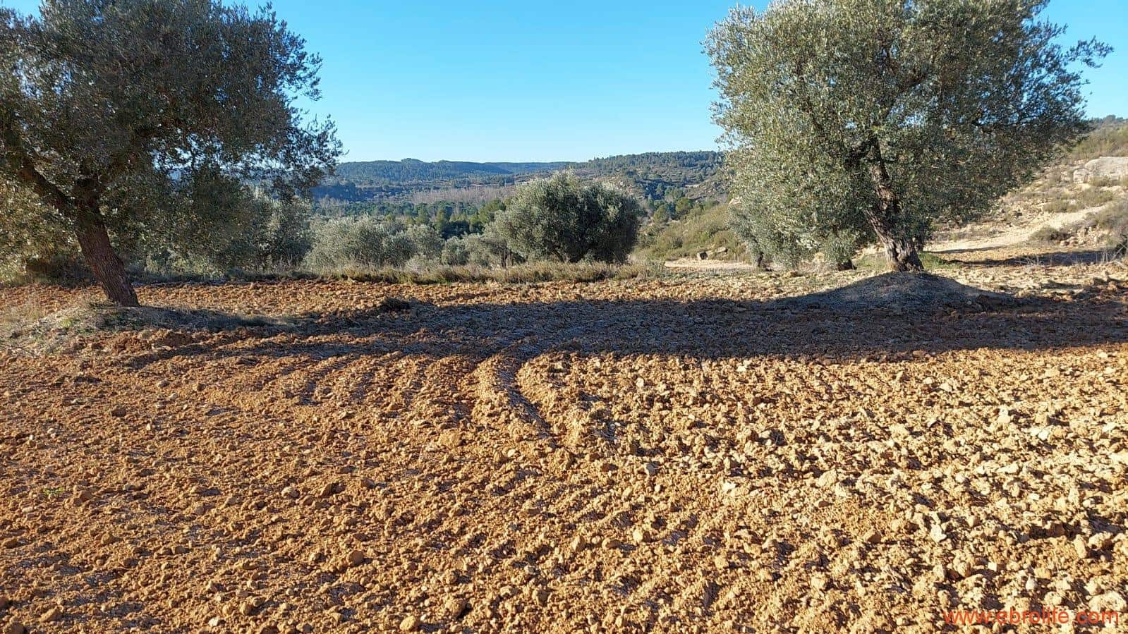 1 chambre Finca/Maison de Campagne à vendre à Mazaleon - 58 000 € (Ref: 7406466)