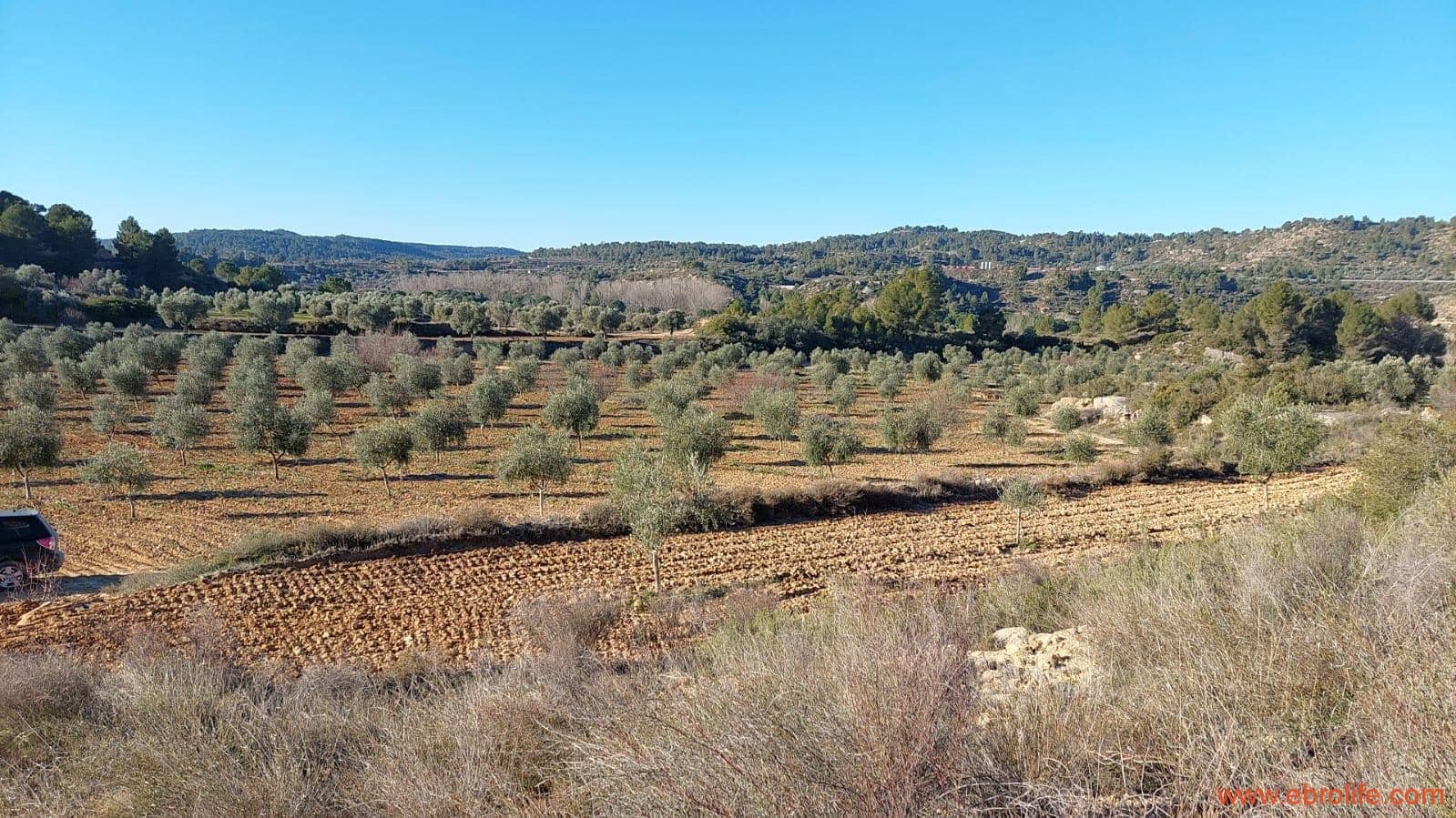 1 chambre Finca/Maison de Campagne à vendre à Mazaleon - 58 000 € (Ref: 7406466)