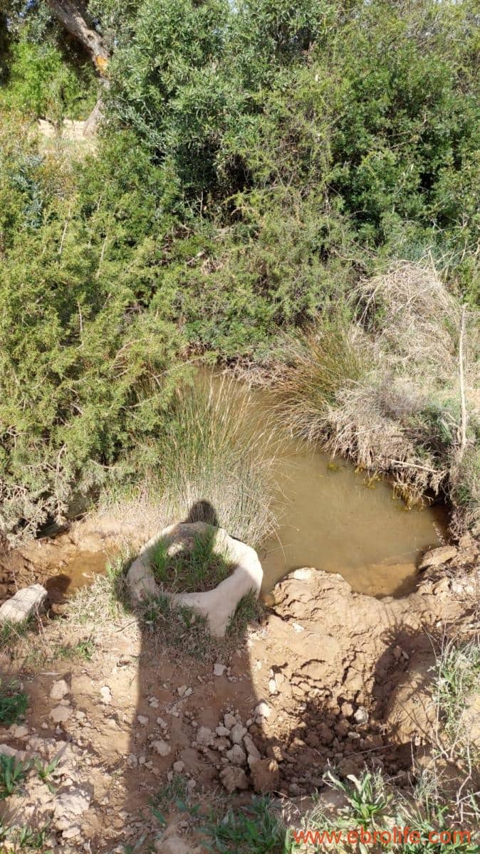 1 bedroom Finca/Country House for sale in Alcaniz - € 53,000 (Ref: 7510161)