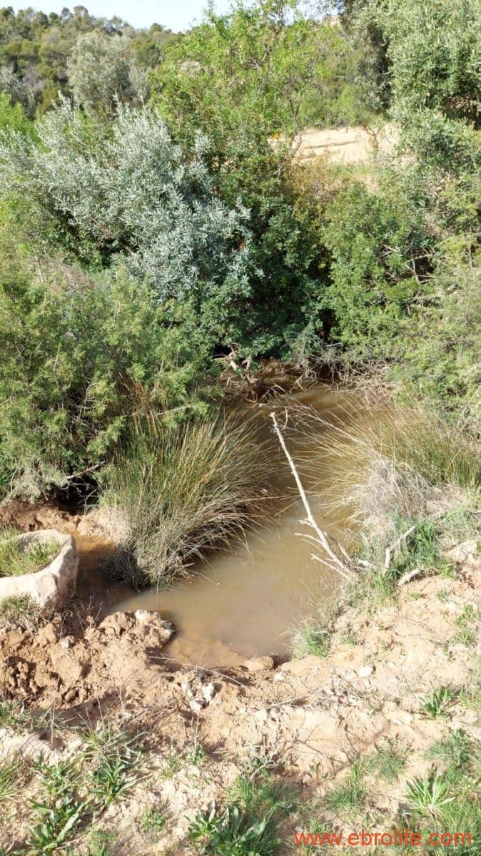 1 bedroom Finca/Country House for sale in Alcaniz - € 53,000 (Ref: 7510161)