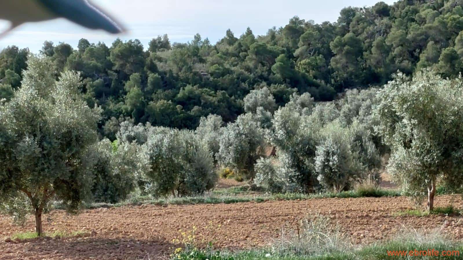 1 bedroom Finca/Country House for sale in Alcaniz - € 53,000 (Ref: 7510161)