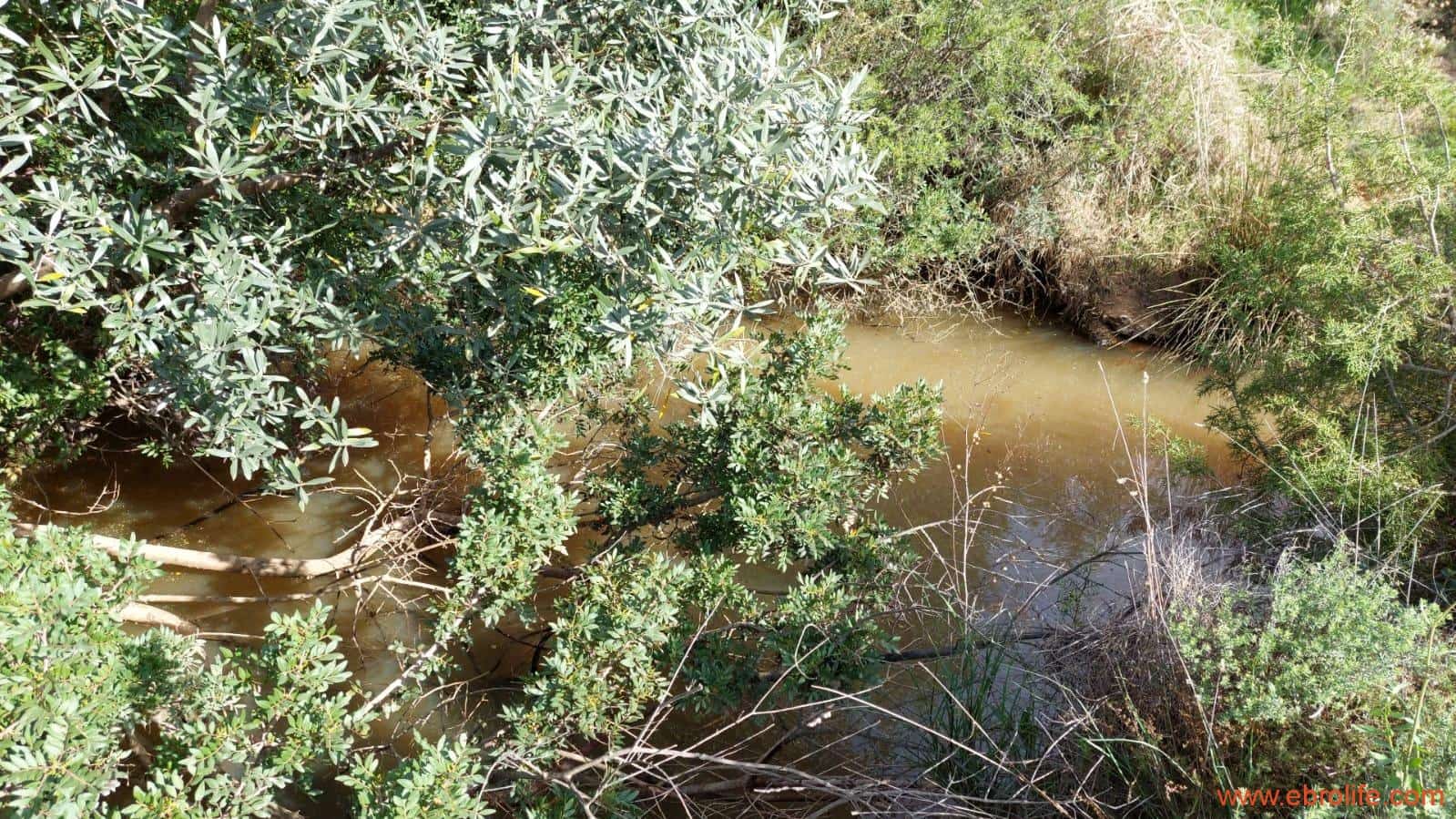 1 bedroom Finca/Country House for sale in Alcaniz - € 53,000 (Ref: 7510161)