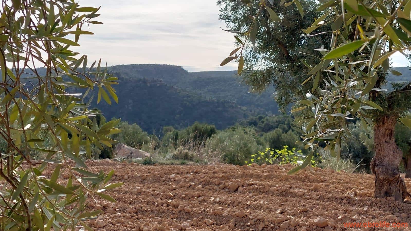 1 bedroom Finca/Country House for sale in Alcaniz - € 53,000 (Ref: 7510161)