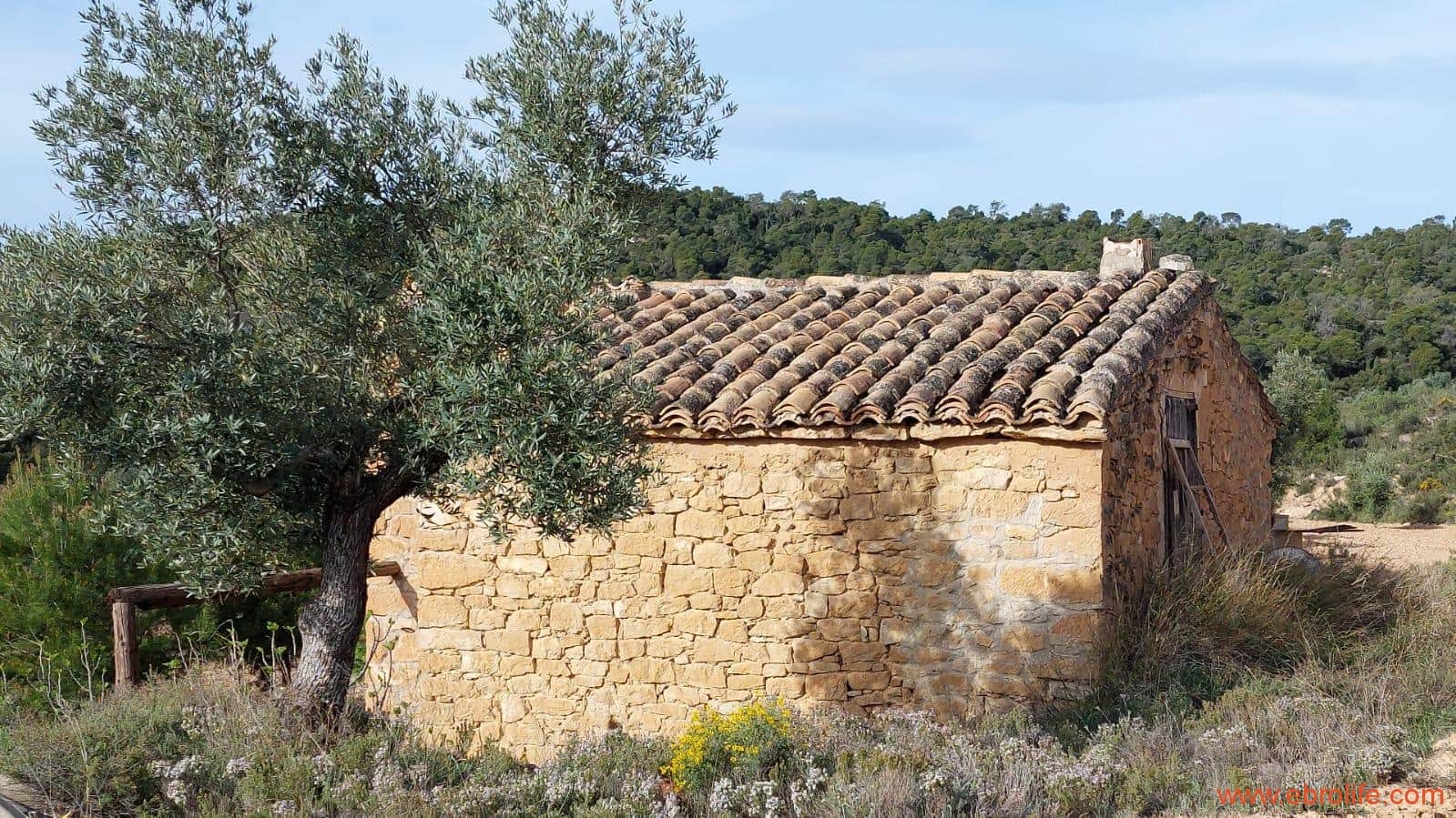 1 bedroom Finca/Country House for sale in Alcaniz - € 53,000 (Ref: 7510161)