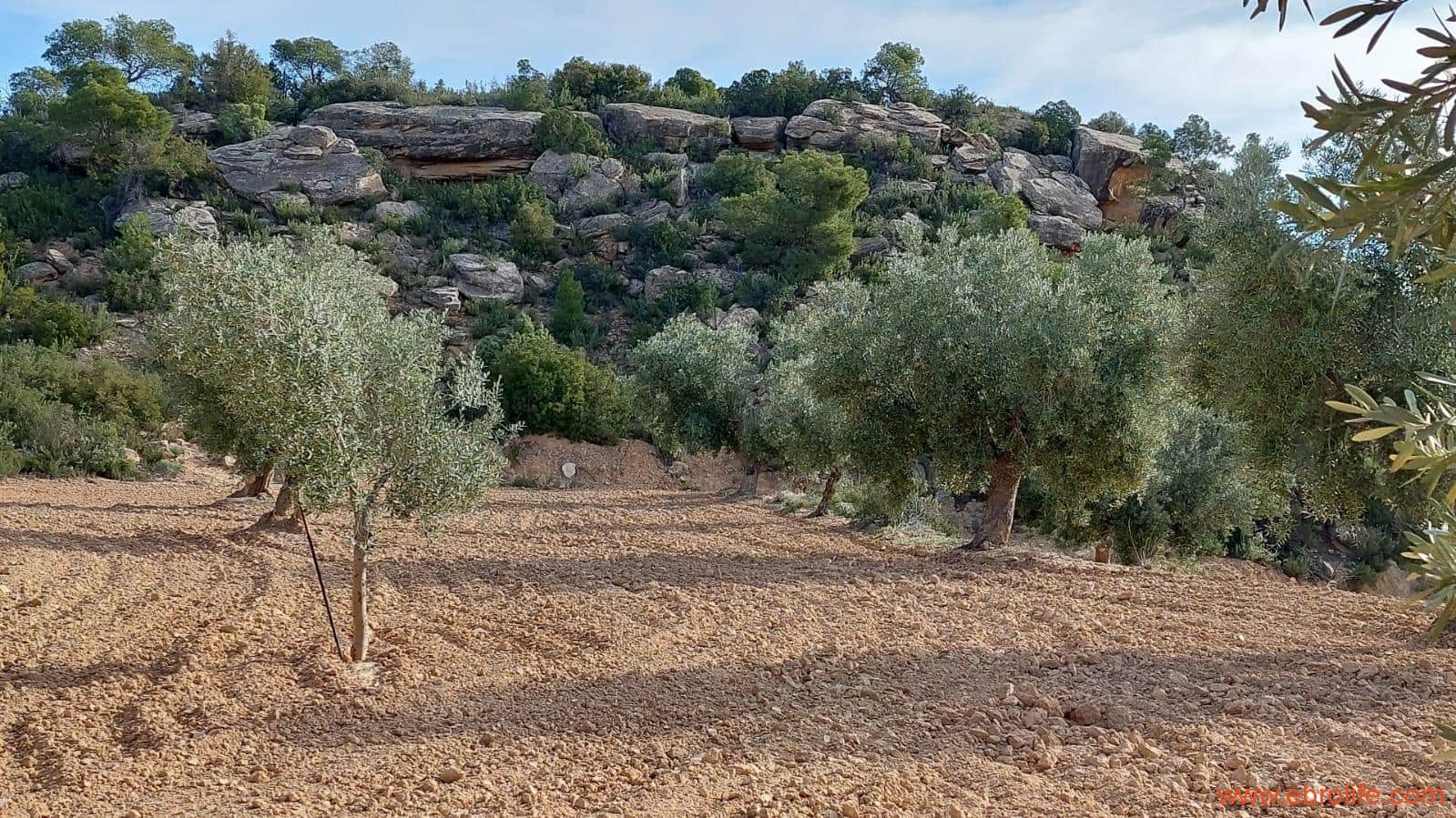 1 bedroom Finca/Country House for sale in Alcaniz - € 53,000 (Ref: 7510161)