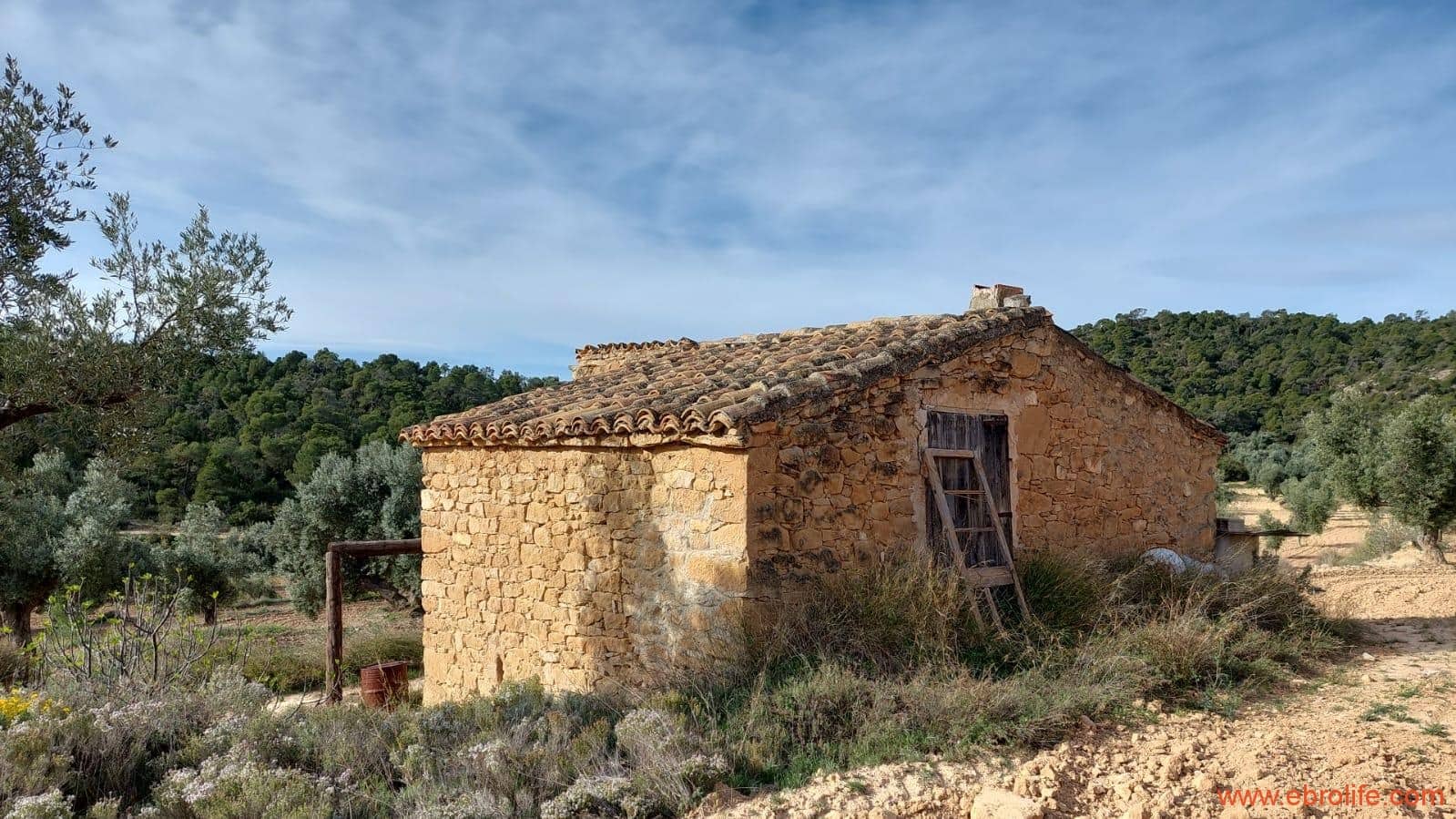 1 bedroom Finca/Country House for sale in Alcaniz - € 53,000 (Ref: 7510161)