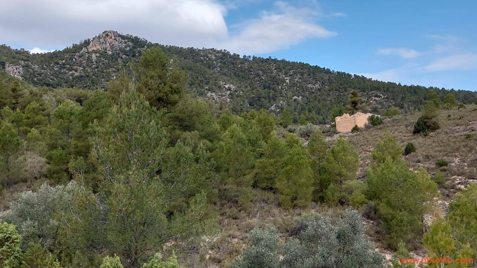 1 soveværelse Finca/Landehus til salg i La Ginebrosa - € 69.000 (Ref: 7625746)