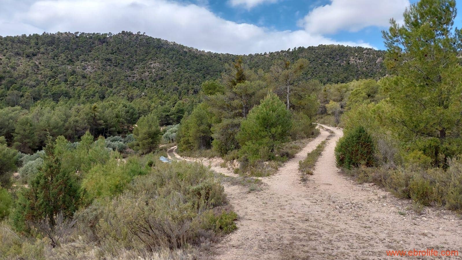 1 soveværelse Finca/Landehus til salg i La Ginebrosa - € 69.000 (Ref: 7625746)