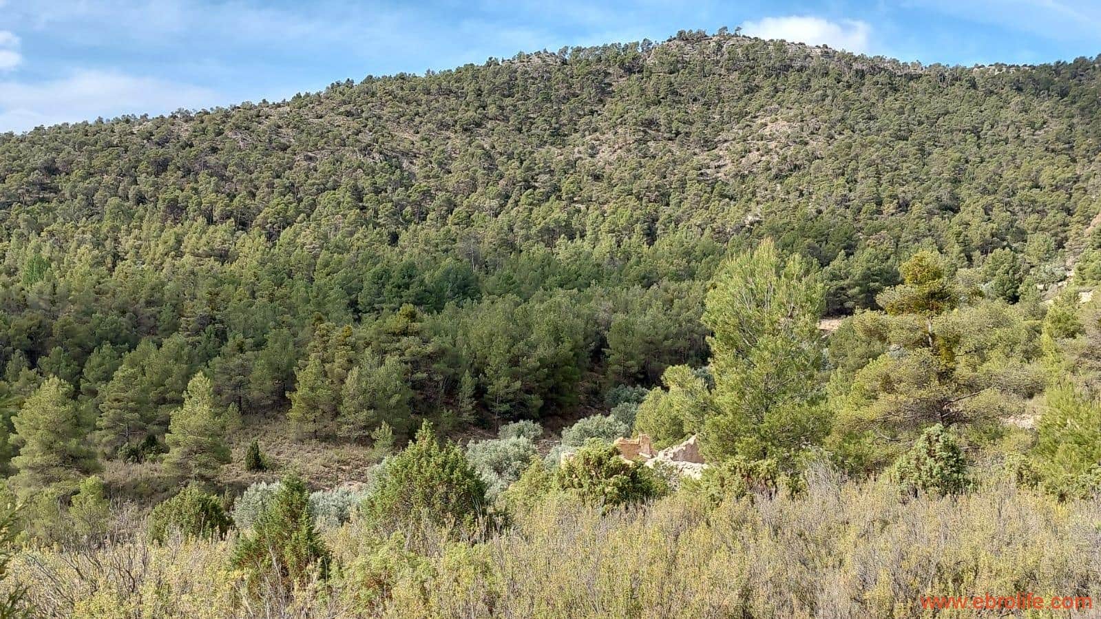 1 soveværelse Finca/Landehus til salg i La Ginebrosa - € 69.000 (Ref: 7625746)