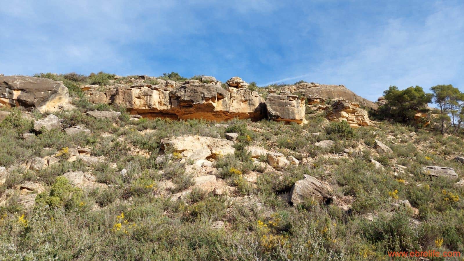 Finca/Landehus til salg i Alcaniz - € 36.000 (Ref: 7744517)