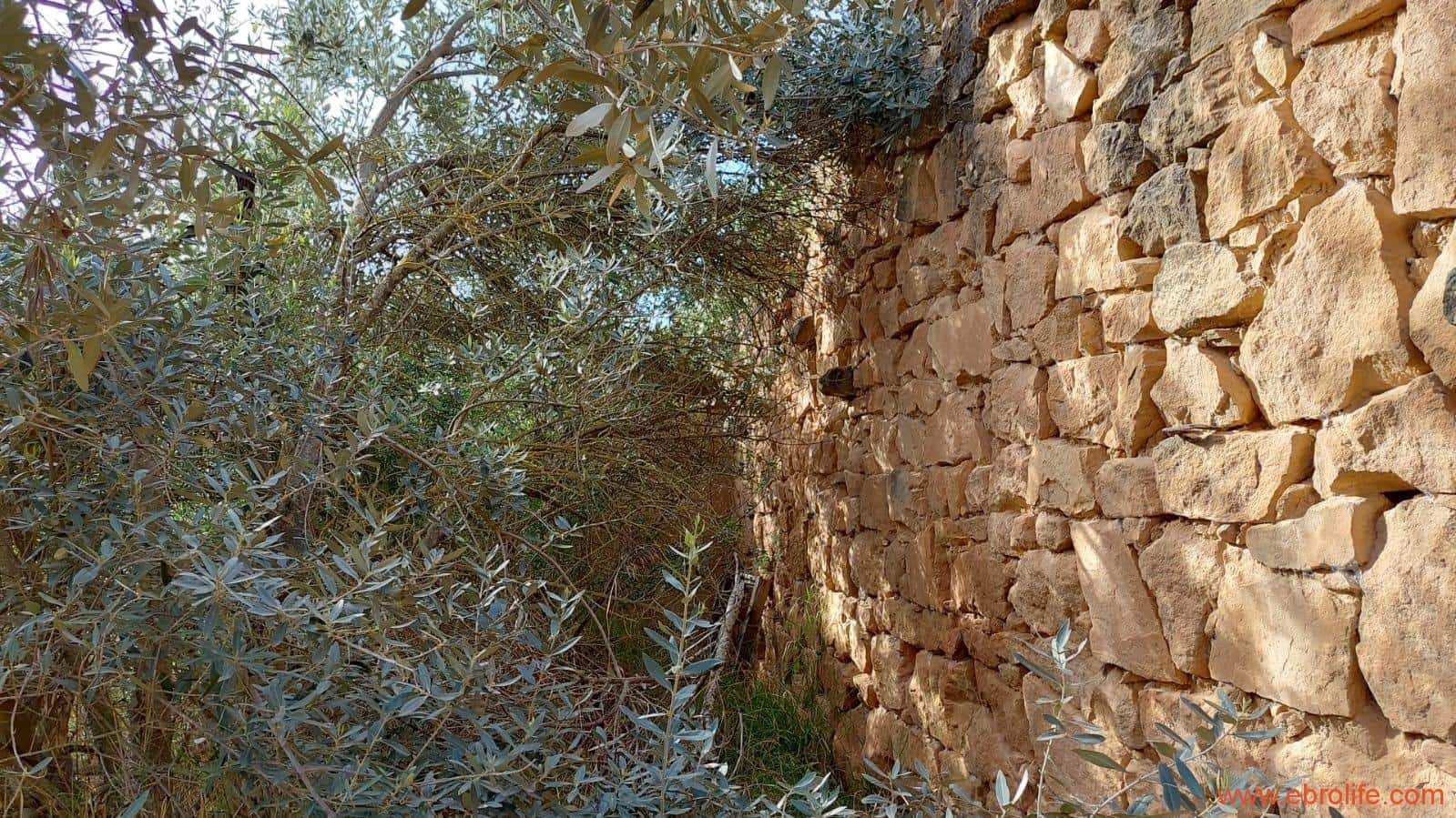 Finca/Landehus til salg i Alcaniz - € 36.000 (Ref: 7744517)