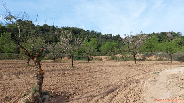 Finca/Landehus til salg i Alcañiz - € 36.000 (Ref: 7744517)