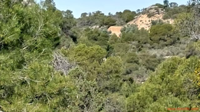 Finca/Landehus til salg i Alcañiz - € 36.000 (Ref: 7744517)