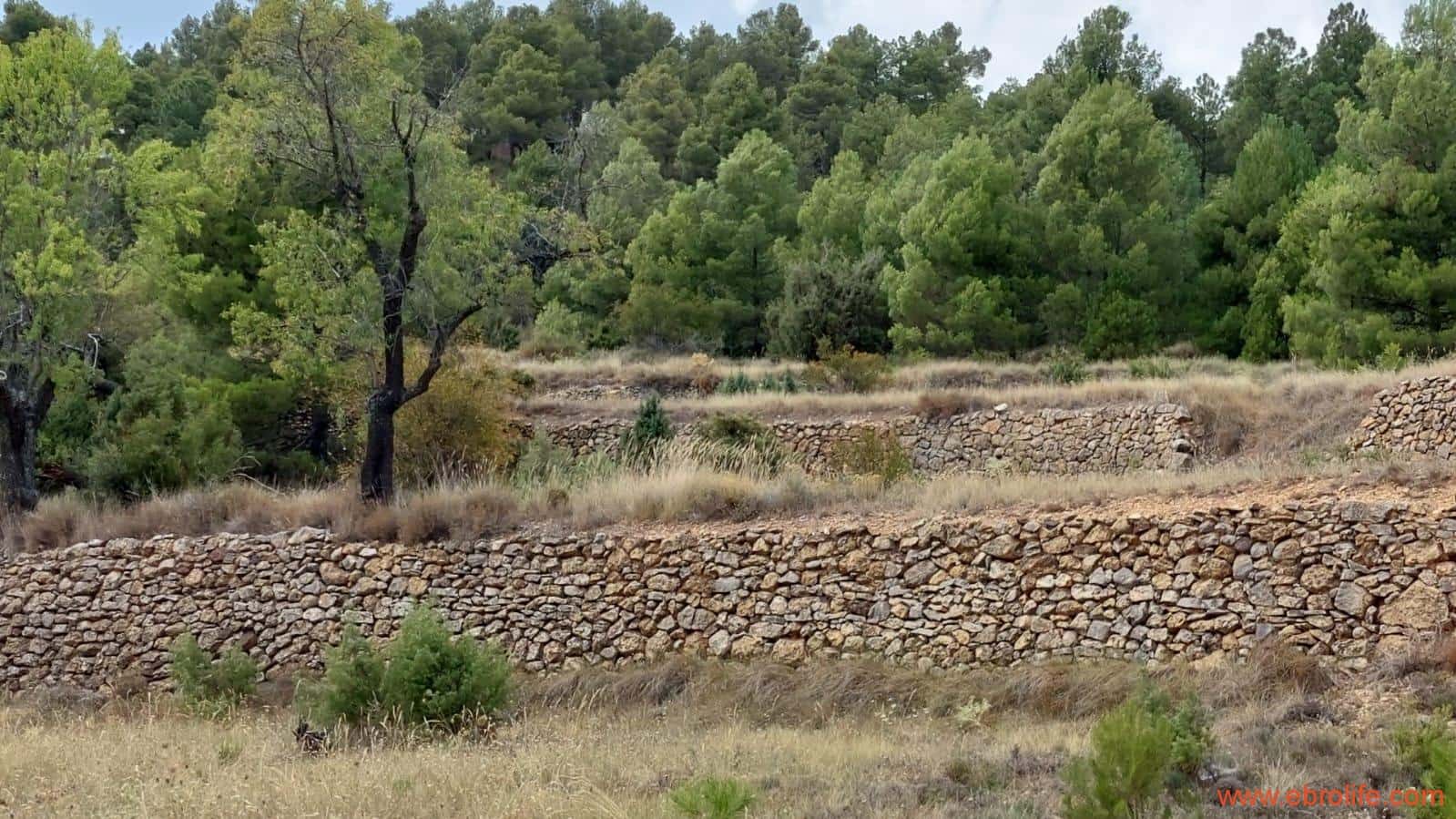 1 slaapkamer Finca/Landhuis te koop in Fuentespalda - € 160.000 (Ref: 7744519)