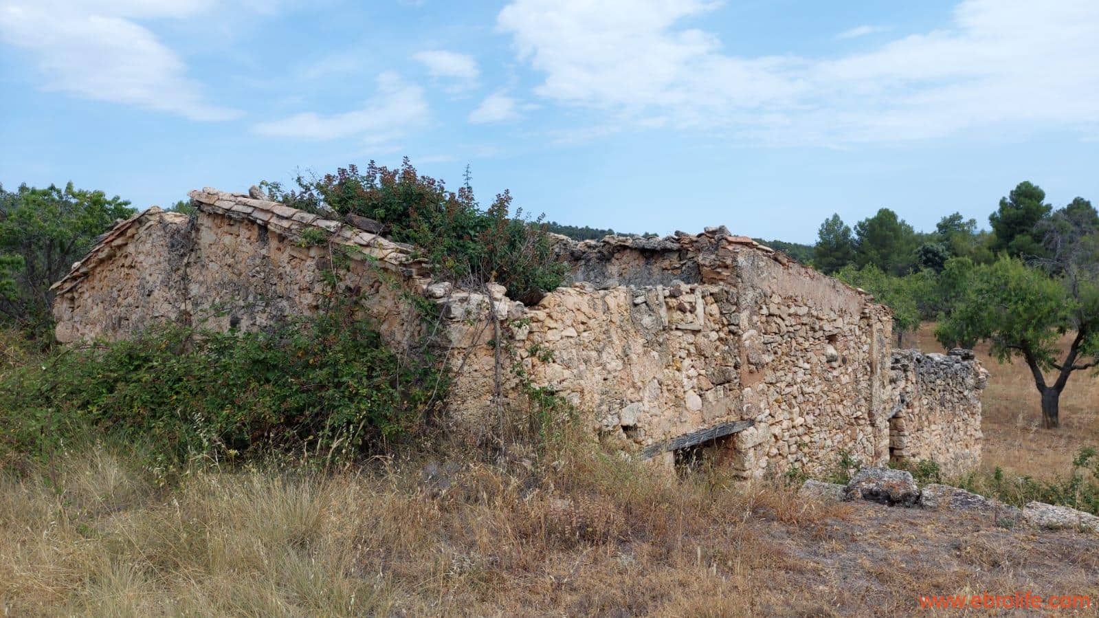 1 slaapkamer Finca/Landhuis te koop in Fuentespalda - € 160.000 (Ref: 7744519)