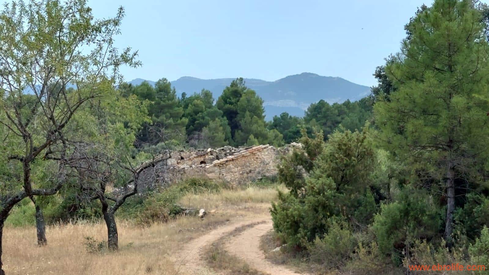 1 slaapkamer Finca/Landhuis te koop in Fuentespalda - € 160.000 (Ref: 7744519)