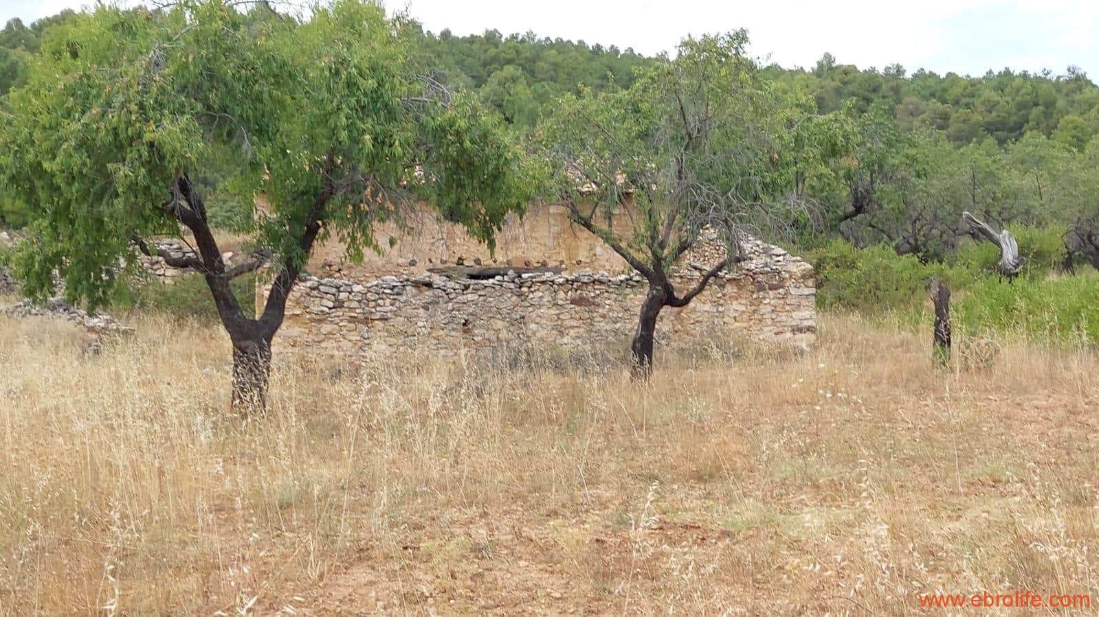 1 slaapkamer Finca/Landhuis te koop in Fuentespalda - € 160.000 (Ref: 7744519)