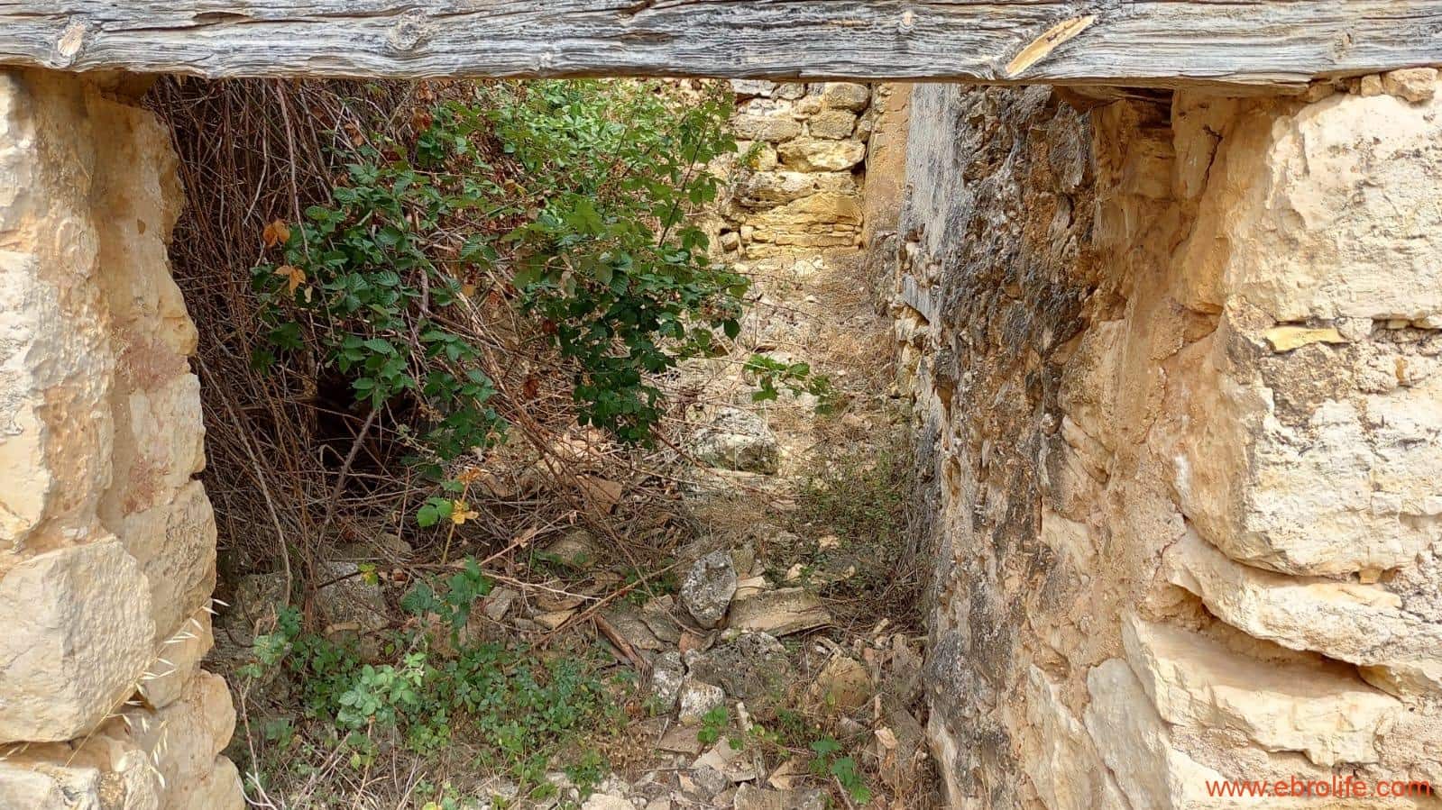 1 slaapkamer Finca/Landhuis te koop in Fuentespalda - € 160.000 (Ref: 7744519)