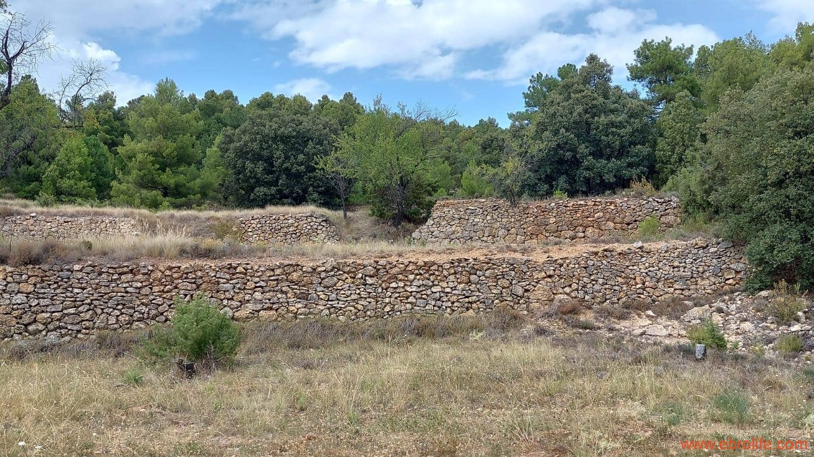 1 slaapkamer Finca/Landhuis te koop in Fuentespalda - € 160.000 (Ref: 7744519)