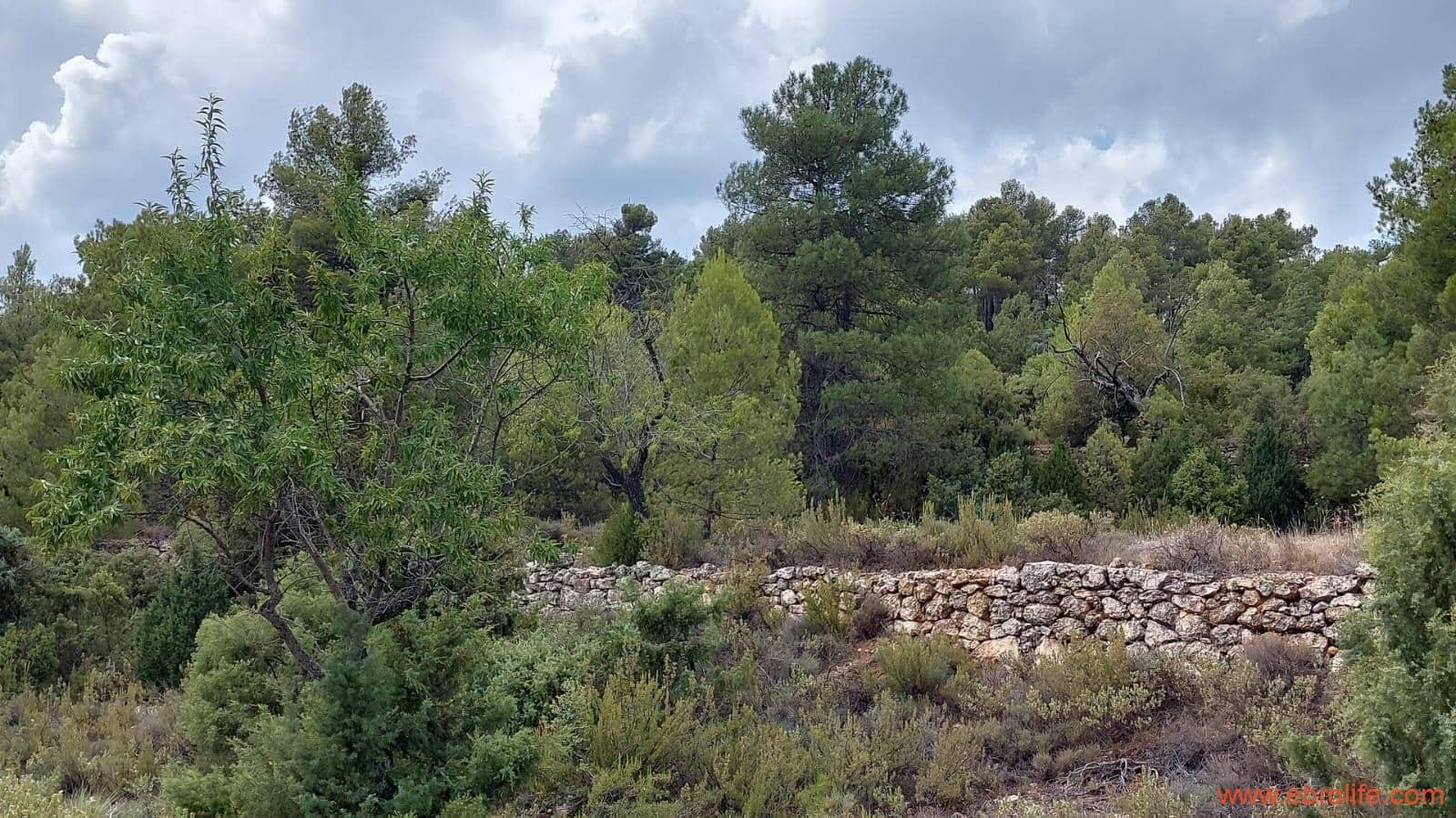 1 slaapkamer Finca/Landhuis te koop in Fuentespalda - € 160.000 (Ref: 7744519)