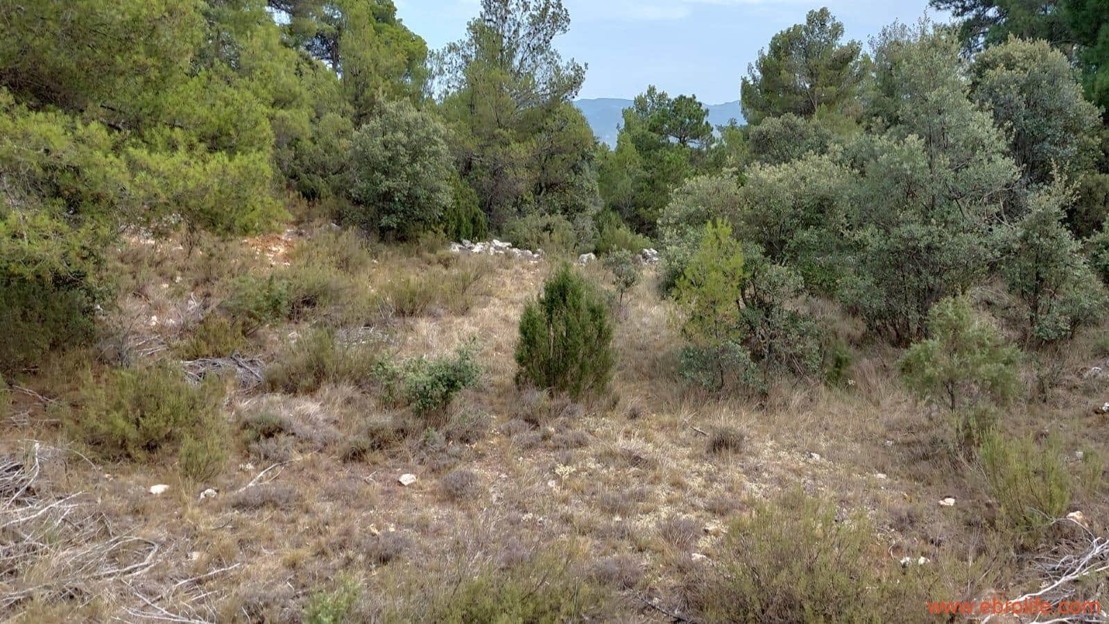 1 slaapkamer Finca/Landhuis te koop in Fuentespalda - € 160.000 (Ref: 7744519)