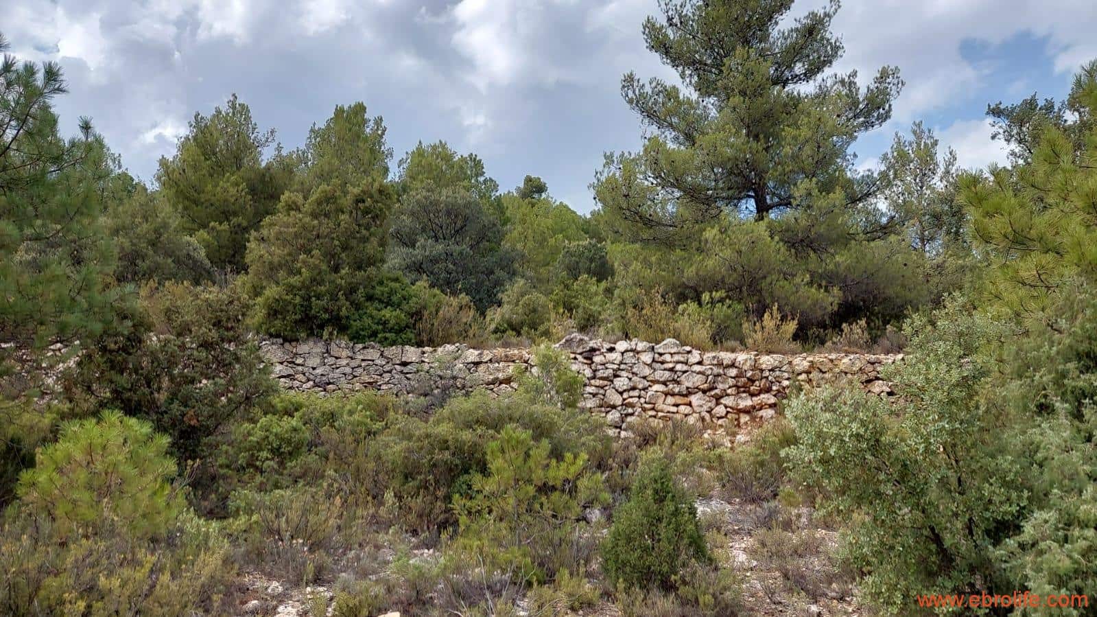 1 slaapkamer Finca/Landhuis te koop in Fuentespalda - € 160.000 (Ref: 7744519)