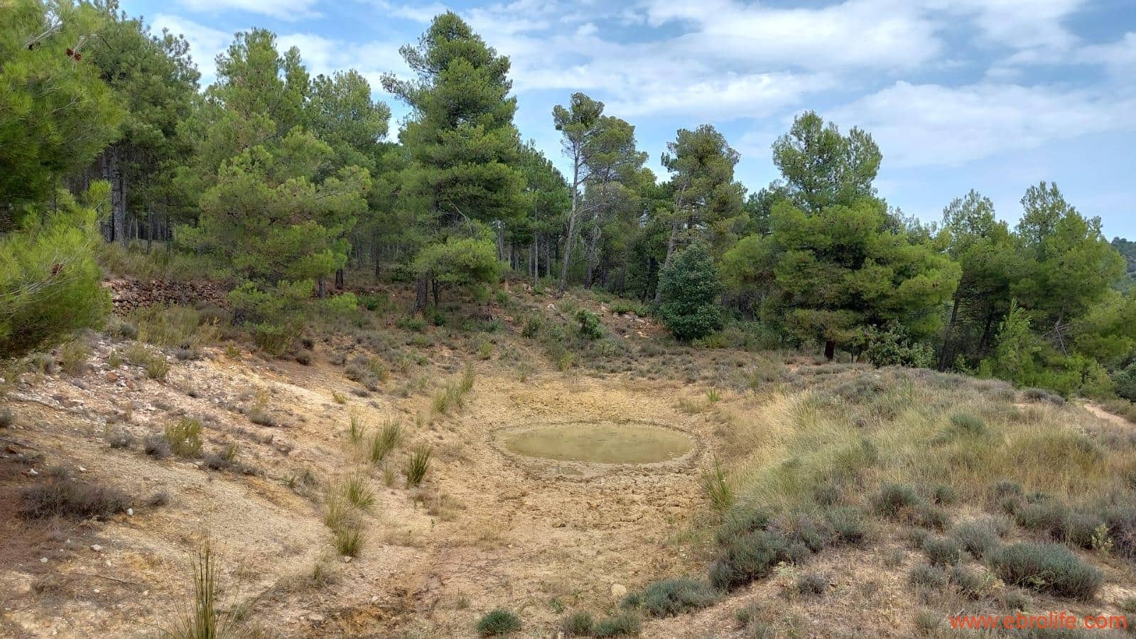 1 slaapkamer Finca/Landhuis te koop in Fuentespalda - € 160.000 (Ref: 7744519)