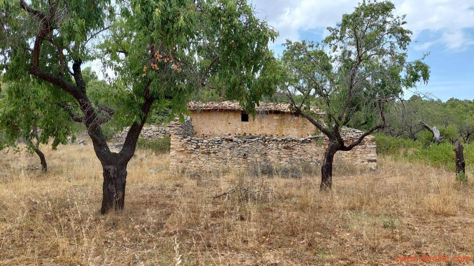 1 slaapkamer Finca/Landhuis te koop in Fuentespalda - € 160.000 (Ref: 7744519)