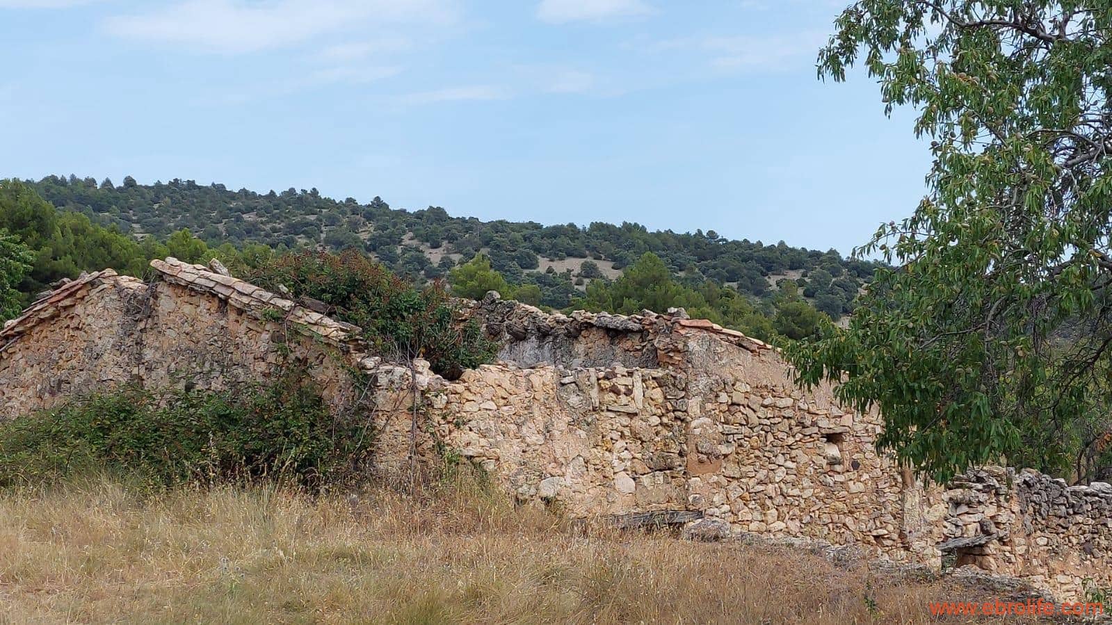 1 slaapkamer Finca/Landhuis te koop in Fuentespalda - € 160.000 (Ref: 7744519)