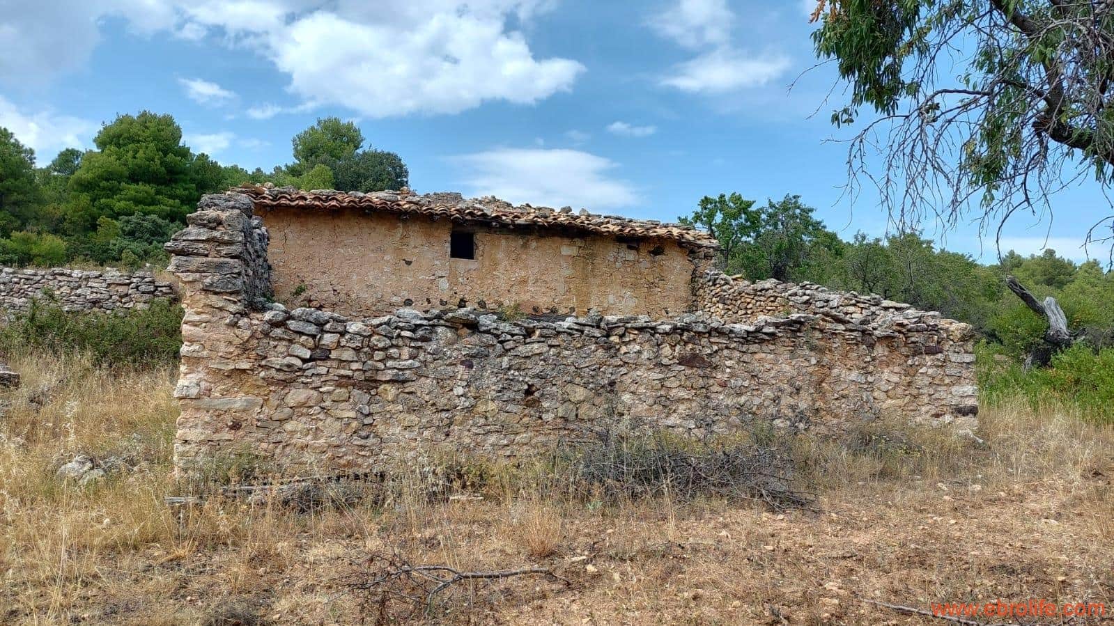 1 slaapkamer Finca/Landhuis te koop in Fuentespalda - € 160.000 (Ref: 7744519)