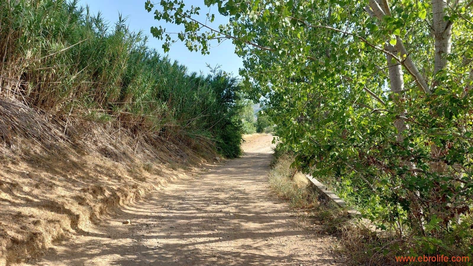 1 soverom Finca/Herregård til salgs i Mas de las Matas - € 89 000 (Ref: 7744520)