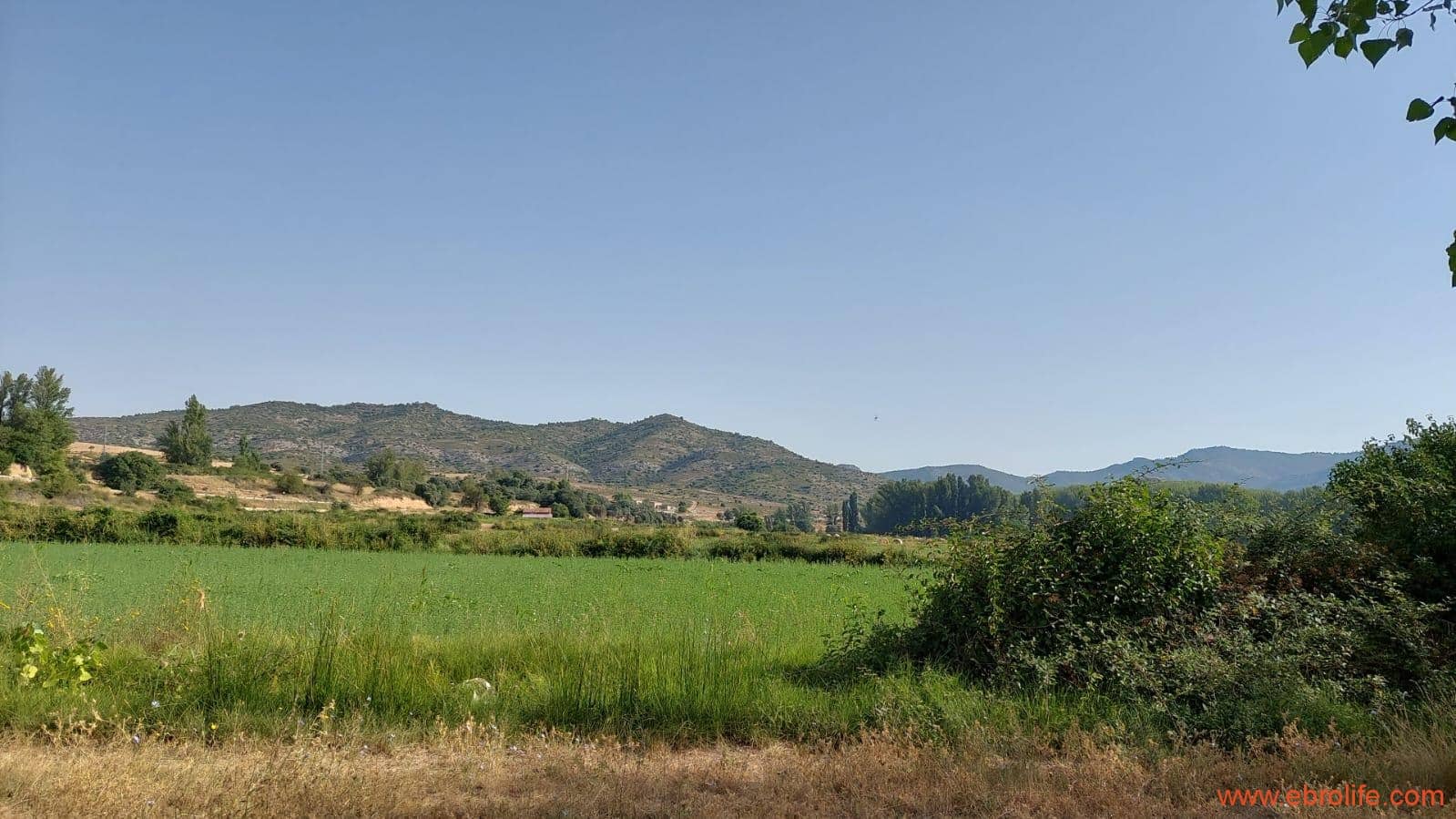 1 soverom Finca/Herregård til salgs i Mas de las Matas - € 89 000 (Ref: 7744520)