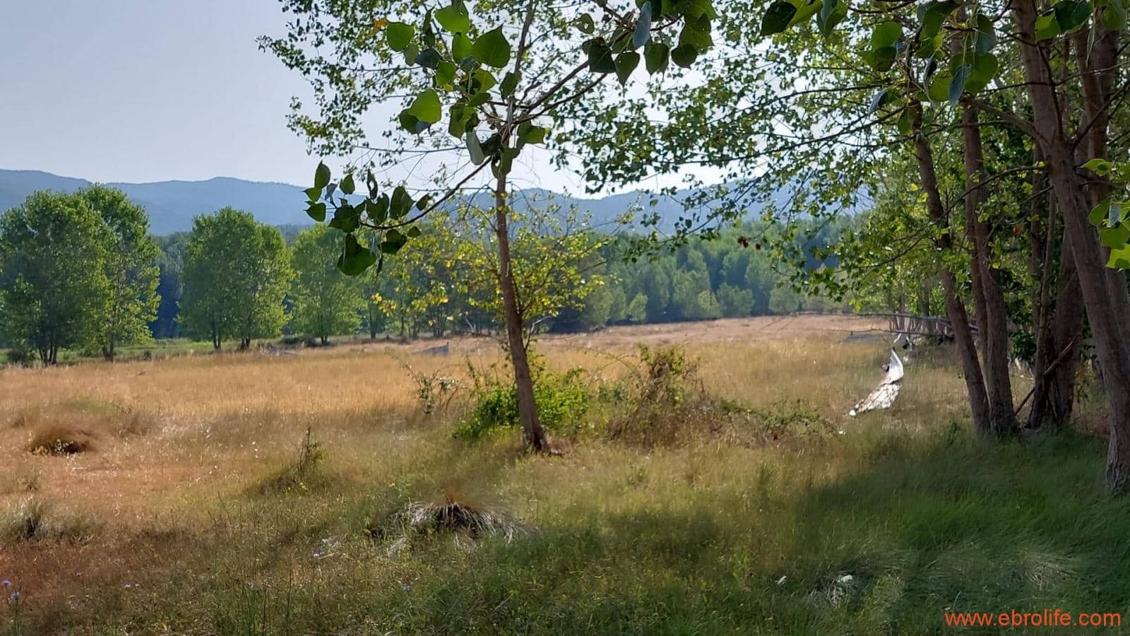 1 soverom Finca/Herregård til salgs i Mas de las Matas - € 89 000 (Ref: 7744520)