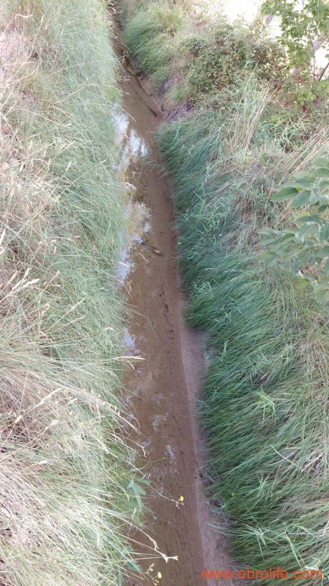 1 soverom Finca/Herregård til salgs i Mas de las Matas - € 89 000 (Ref: 7744520)