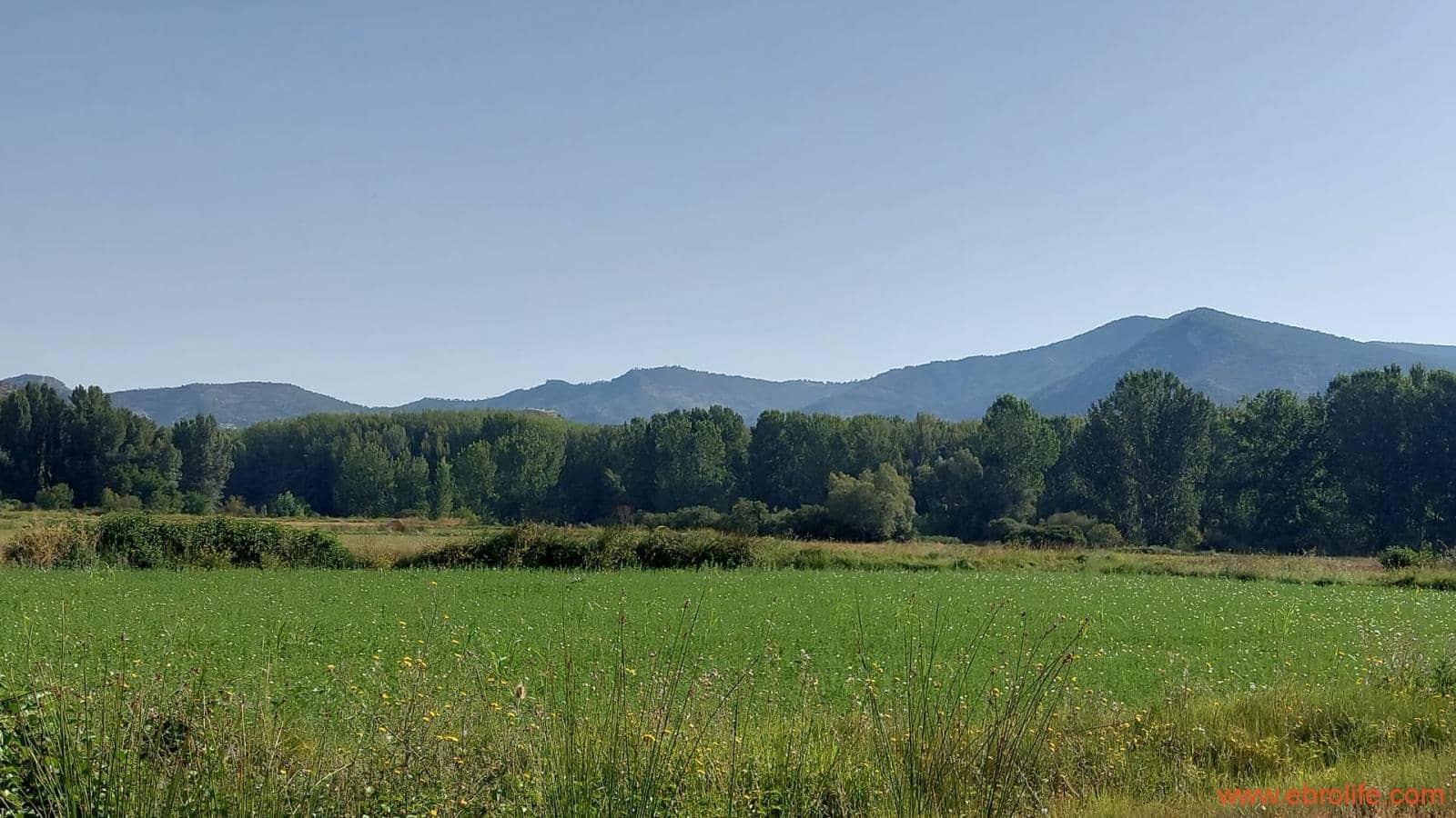 1 soverom Finca/Herregård til salgs i Mas de las Matas - € 89 000 (Ref: 7744520)