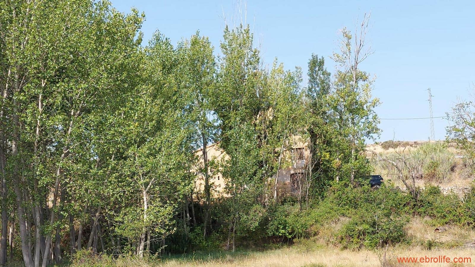 1 soverom Finca/Herregård til salgs i Mas de las Matas - € 89 000 (Ref: 7744520)